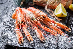 Havskräftor råa 8/12 MSC