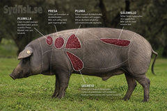 Secreto Ibérico Bellota | Exklusiv Spansk Delikatess med Intensiv Smak & Marmorering