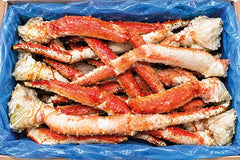 King Crab / Kungskrabba