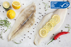 Stillahavsspätta - msc - Nyhet!