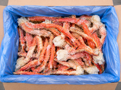 King Crab / Kungskrabba