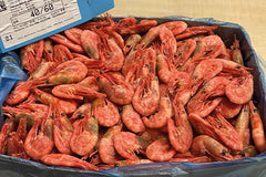 Favorite box - now also with Sockeye salmon!