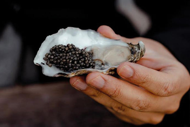 Swedish Black Caviar 10 gram - Arctic Silk