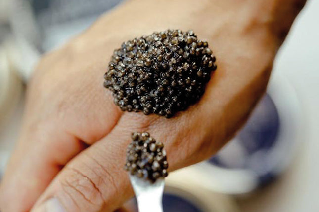 Swedish Black Caviar 10 gram - Arctic Pearl