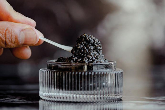 Swedish Black Caviar 10 gram - Arctic Pearl