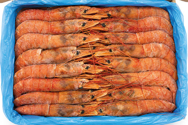 Argentinska Rödräkor