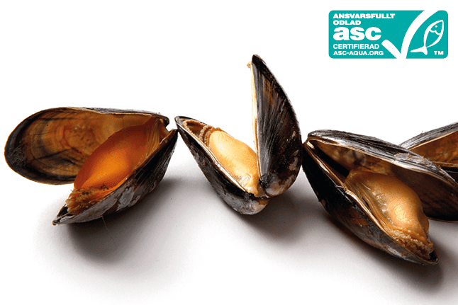 Blåmusslor Sous-vide - ASC
