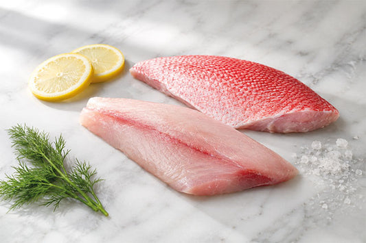 Red Snapper