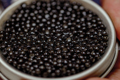 Swedish Black Caviar 10 gram - Arctic Silk