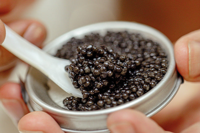 Swedish Black Caviar 10 gram - Arctic Silk