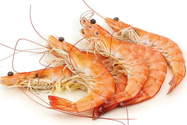 Tapas Prawns cooked in shell - asc - New!